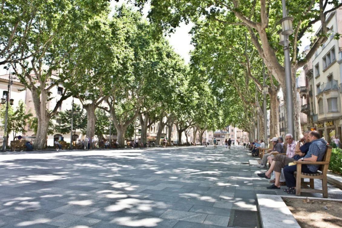 Amplio paseo arbolado con bancos y personas mayores descansando en una plaza céntrica cercana al Hotel Plaza Inn en España